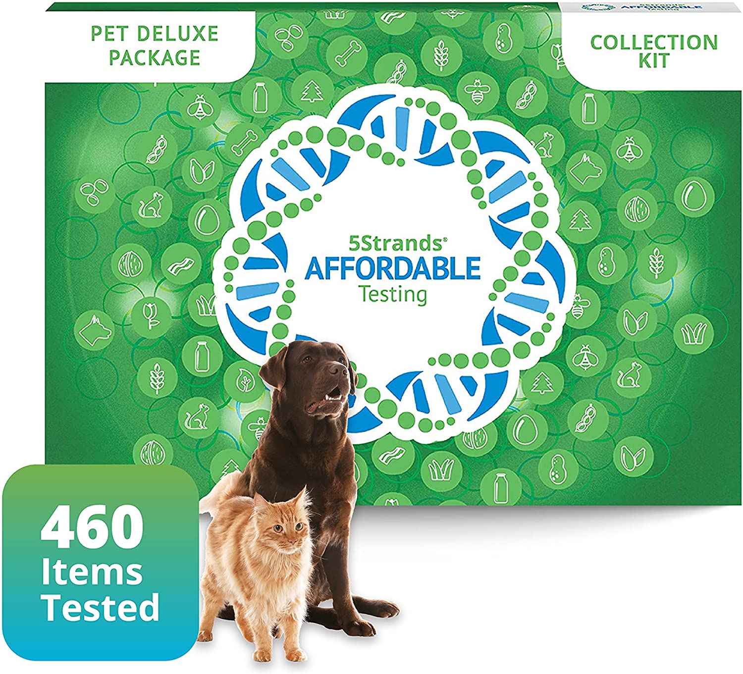 allergy testing for dogs