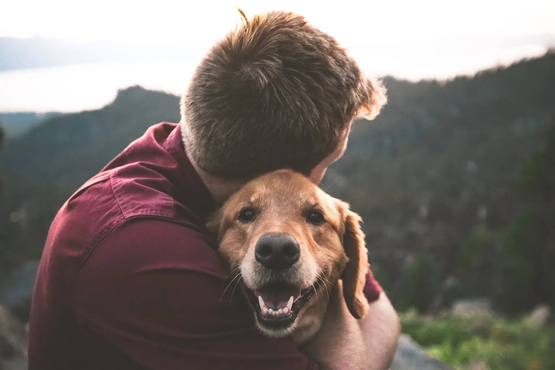 A dog smiling while getting hugged by its owner