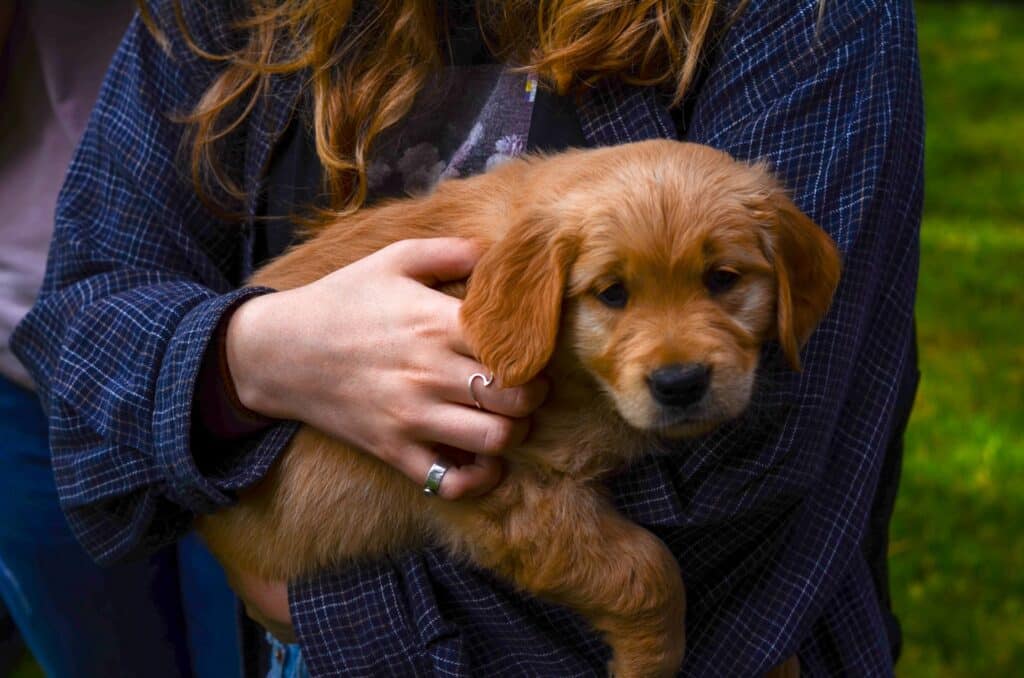 A woman holding a small puppy